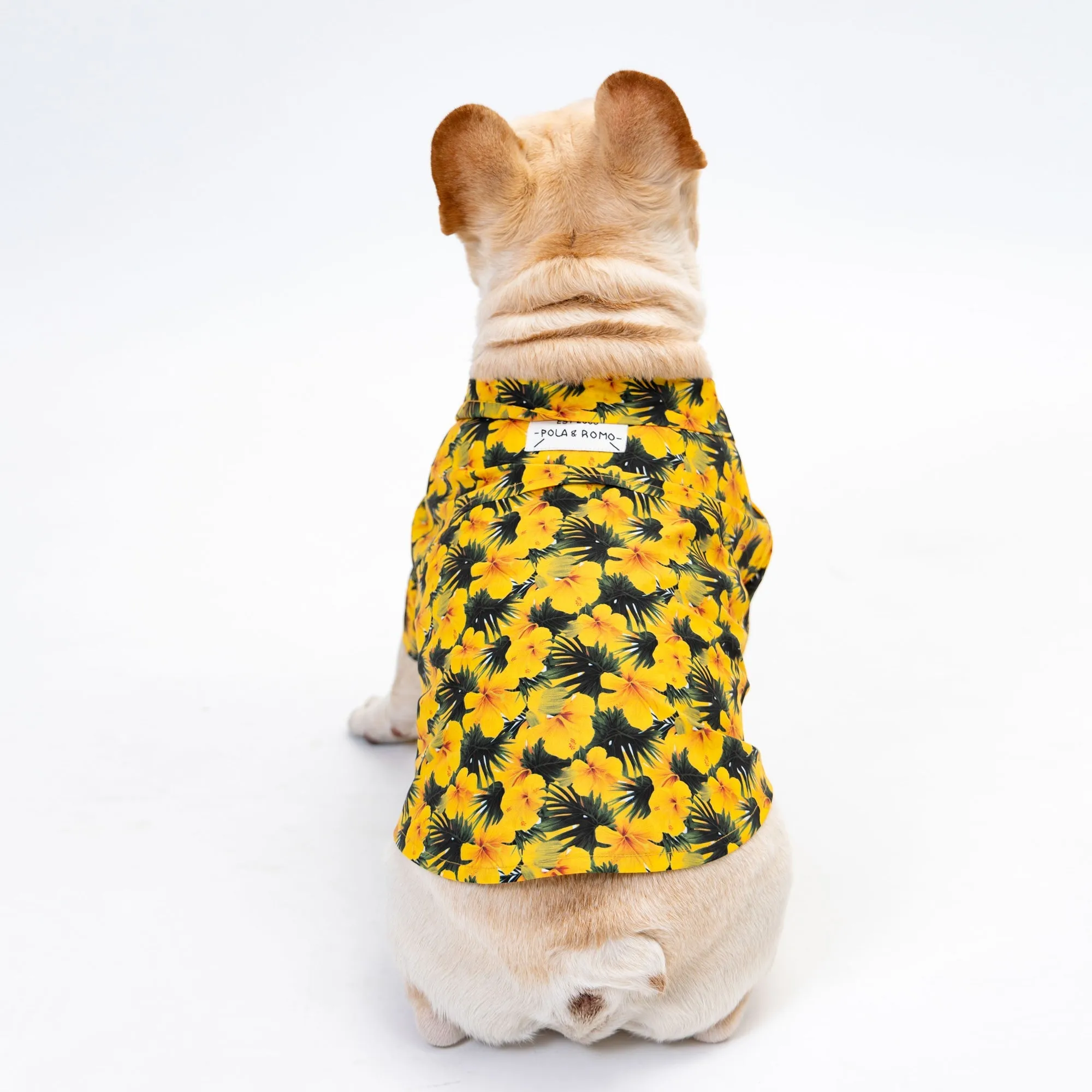 Summer Flower Button Up Dog Shirt