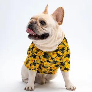 Summer Flower Button Up Dog Shirt