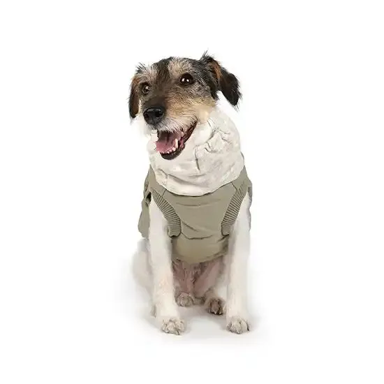 Warm Up Harness Dog Jacket